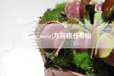嘉峪关九宫格分布图