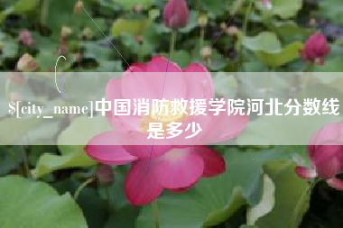 嘉峪关中国消防救援学院河北分数线是多少