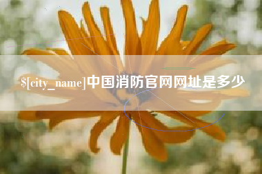 嘉峪关中国消防官网网址是多少