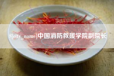 嘉峪关中国消防救援学院副院长