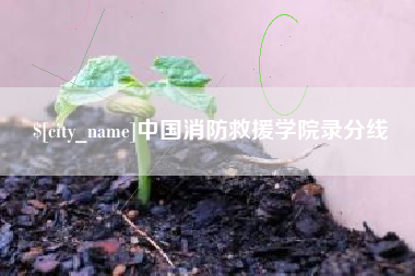 嘉峪关中国消防救援学院录分线