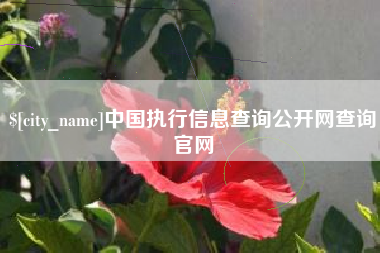 嘉峪关中国执行信息查询公开网查询官网