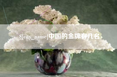 嘉峪关中国的金牌有几名