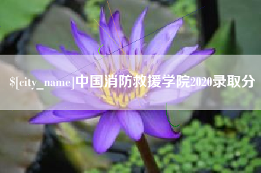 嘉峪关中国消防救援学院2020录取分