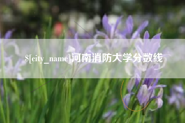 嘉峪关河南消防大学分数线