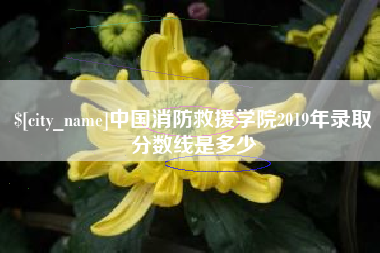 嘉峪关中国消防救援学院2019年录取分数线是多少
