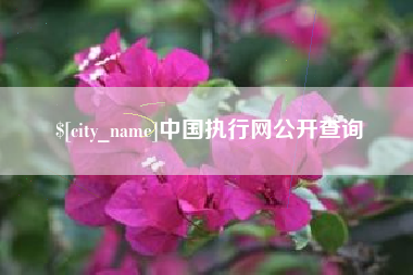 嘉峪关中国执行网公开查询