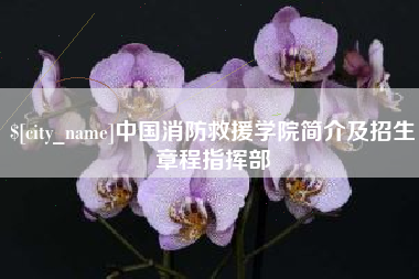 嘉峪关中国消防救援学院简介及招生章程指挥部