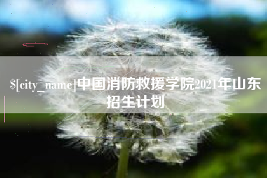 嘉峪关中国消防救援学院2021年山东招生计划