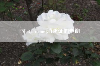 嘉峪关消防证的查询
