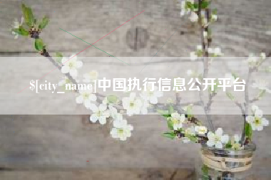 嘉峪关中国执行信息公开平台