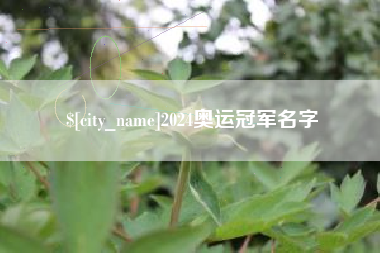 嘉峪关2024奥运冠军名字