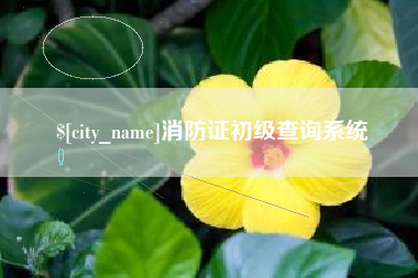 嘉峪关消防证初级查询系统