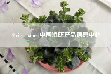 嘉峪关中国消防产品信息中心