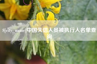 嘉峪关中国失信人员被执行人名单查询
