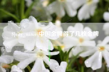 嘉峪关中国金牌得了几枚金牌
