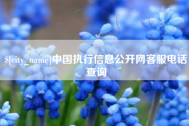 嘉峪关中国执行信息公开网客服电话查询