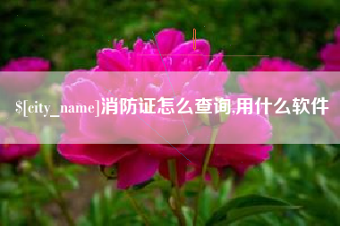 嘉峪关消防证怎么查询,用什么软件