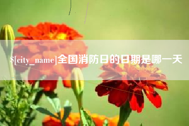 嘉峪关全国消防日的日期是哪一天