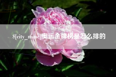 嘉峪关奥运金牌榜是怎么排的