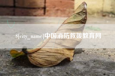 嘉峪关中国消防救援教育网