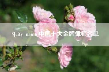 嘉峪关中国十大金牌律师名单