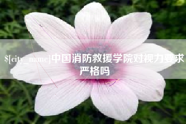 嘉峪关中国消防救援学院对视力要求严格吗