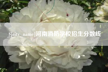 嘉峪关河南消防学校招生分数线