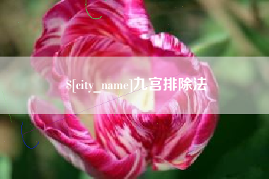 嘉峪关九宫排除法