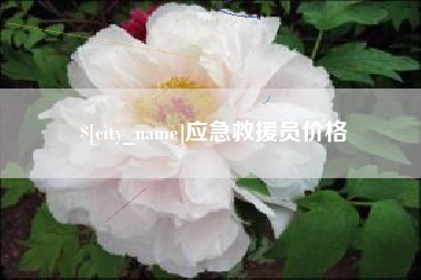 嘉峪关应急救援员价格