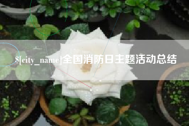 嘉峪关全国消防日主题活动总结