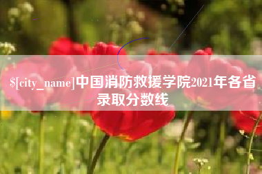 嘉峪关中国消防救援学院2021年各省录取分数线