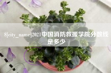 嘉峪关2021中国消防救援学院分数线是多少