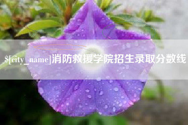 嘉峪关消防救援学院招生录取分数线