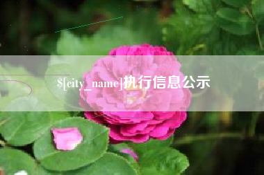嘉峪关执行信息公示