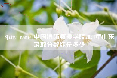 嘉峪关中国消防救援学院2021年山东录取分数线是多少