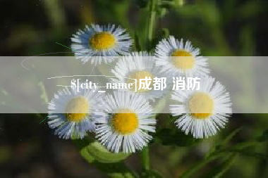 嘉峪关成都 消防