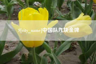 嘉峪关中国队九块金牌