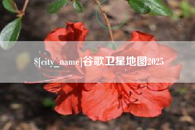 嘉峪关谷歌卫星地图2025