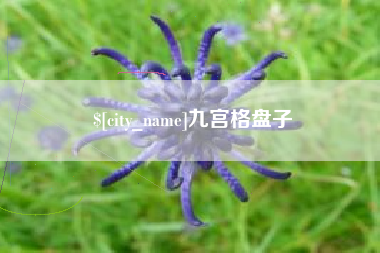 嘉峪关九宫格盘子