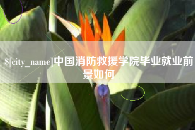 嘉峪关中国消防救援学院毕业就业前景如何