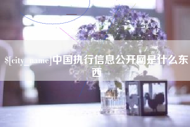 嘉峪关中国执行信息公开网是什么东西