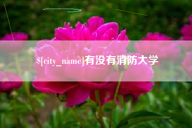 嘉峪关有没有消防大学