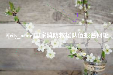 嘉峪关国家消防救援队伍报名网址