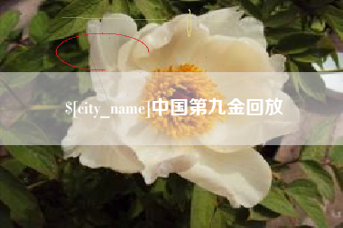 嘉峪关中国第九金回放