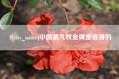 嘉峪关中国第九枚金牌是谁得的