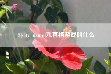 嘉峪关九宫格游戏叫什么