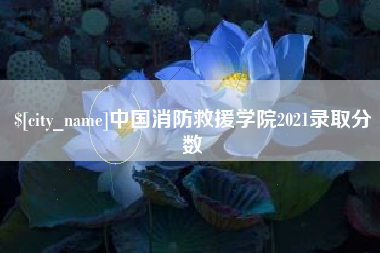 嘉峪关中国消防救援学院2021录取分数