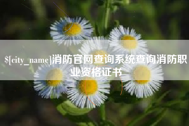 嘉峪关消防官网查询系统查询消防职业资格证书