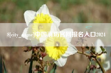 嘉峪关中国消防官网报名入口2024